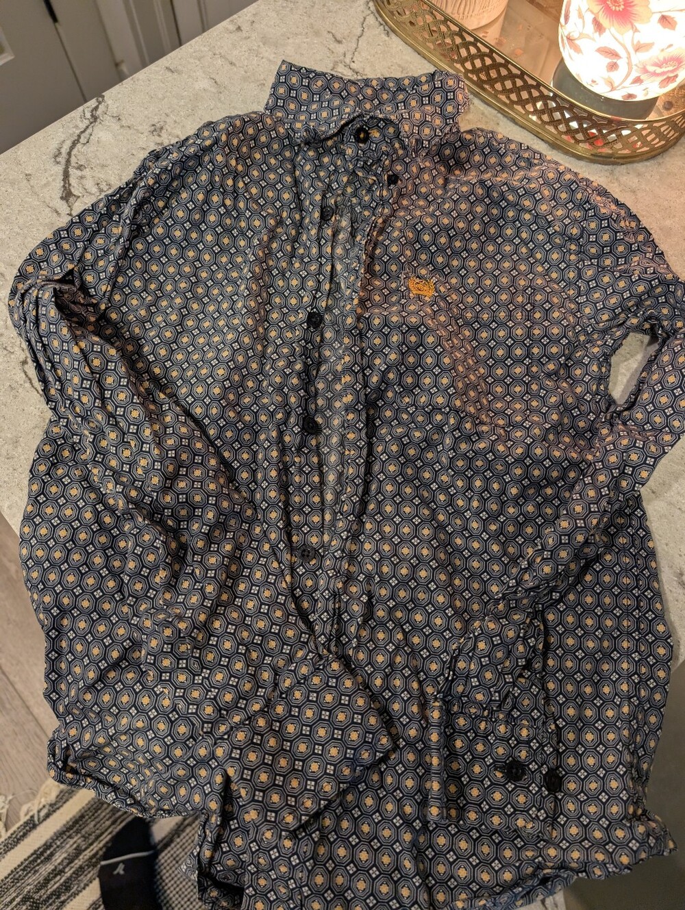 Boys Cinch Button Down